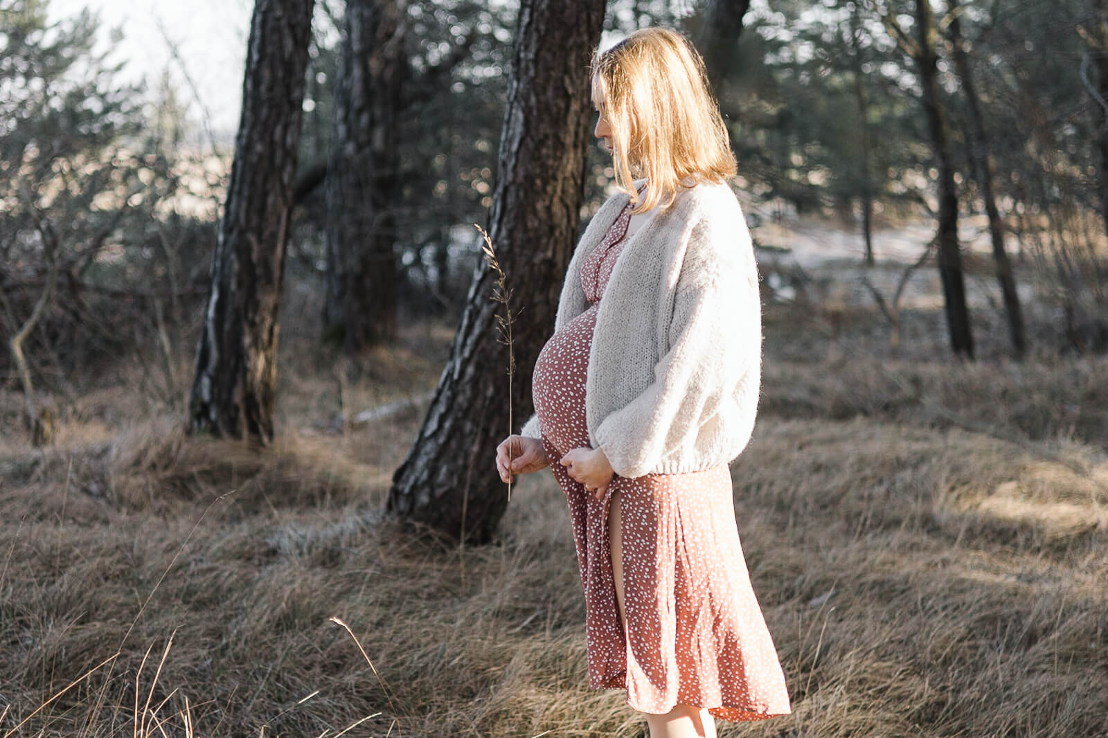 Babybauch-Shooting-München-Eva-Nöth-Fotografie-Garching-Südliche-Fröttmanninger-Heide