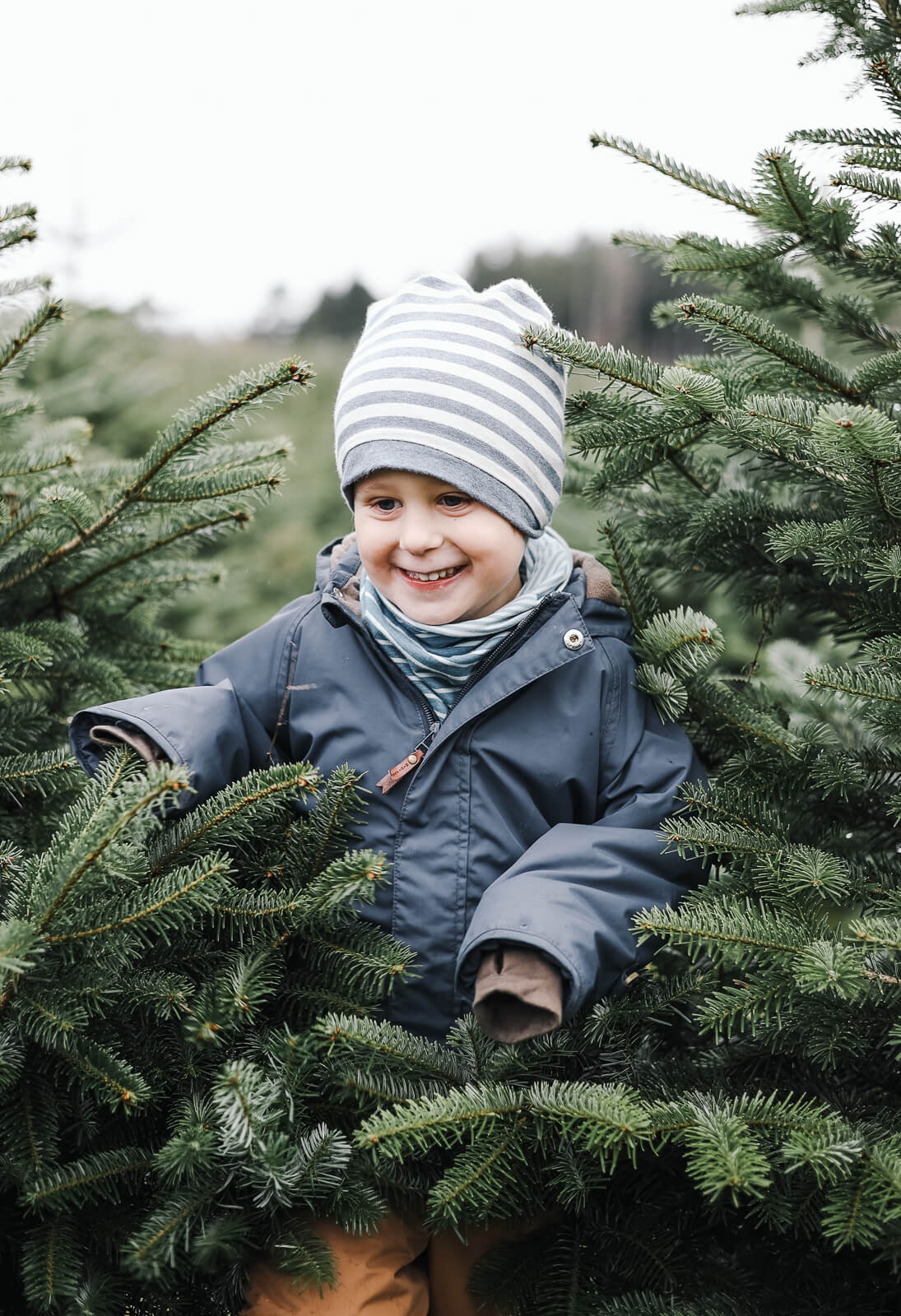 Ein kleiner Junge rennt lachend durch eine Christbaumplantage
